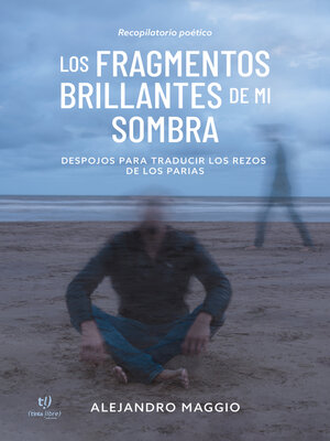 cover image of Los fragmentos brillantes de mi sombra